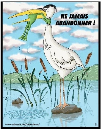 ne jamais abandonner
