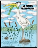ne jamais abandonner