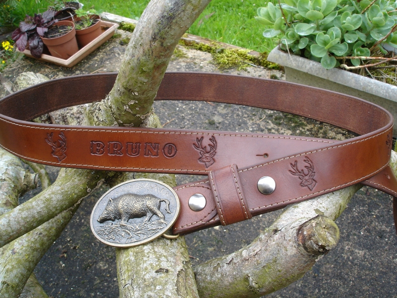 Chasse sanglier (1)