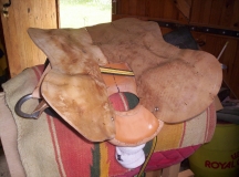 selle 032