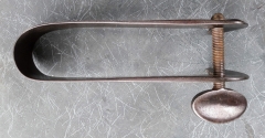 Rainette