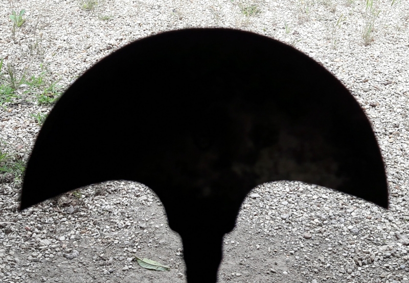 20170708 151941