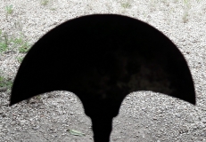 20170708 151941