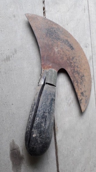 Couteau à pied hirondelle (avant)