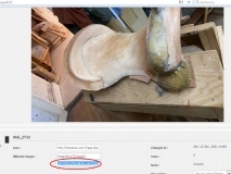selection image