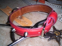 collier dogue 002
