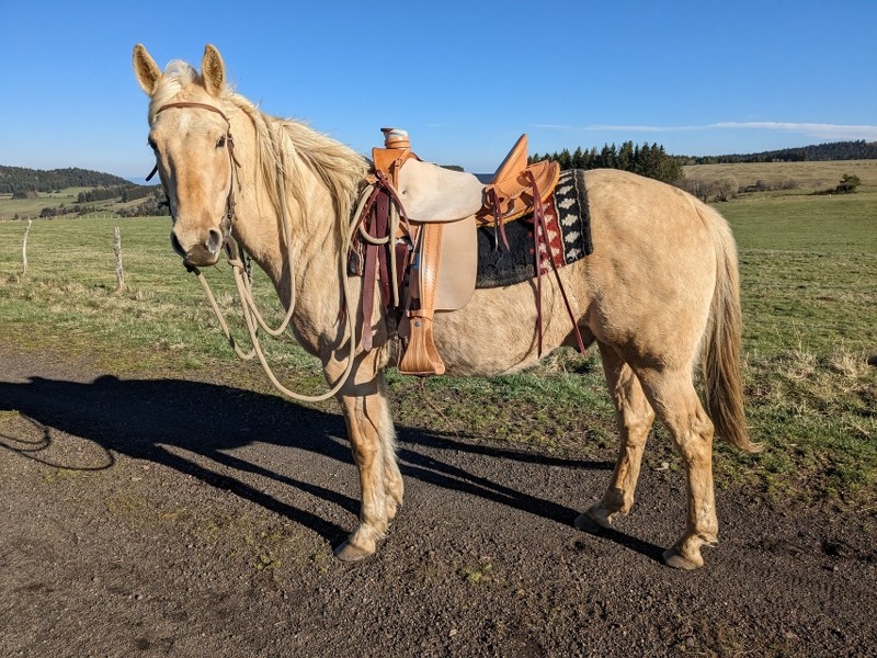 B36