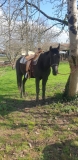 IMG-20240217-WA0010