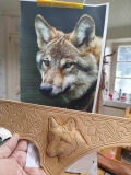 comparaison