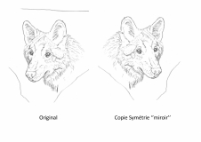 symétrie