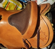 Selle western 1 d