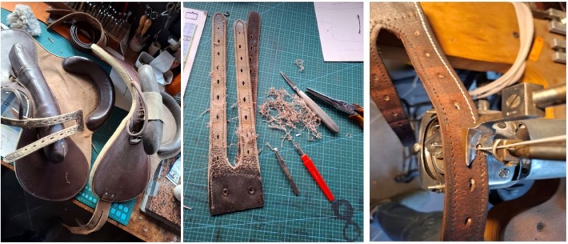 bardettes