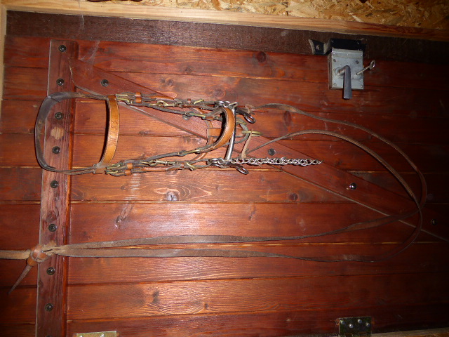 P1000925.JPG