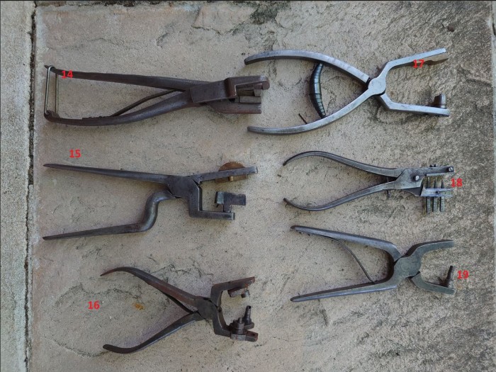 identification2.jpg