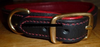 collier chien copie.jpeg